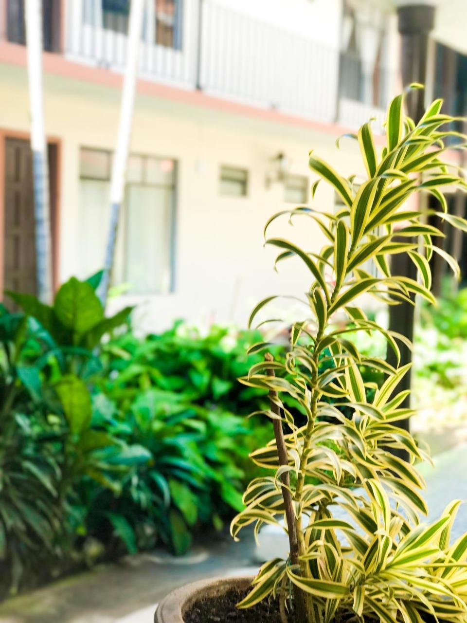Hotel Villa De Flores Uruapan  Dış mekan fotoğraf